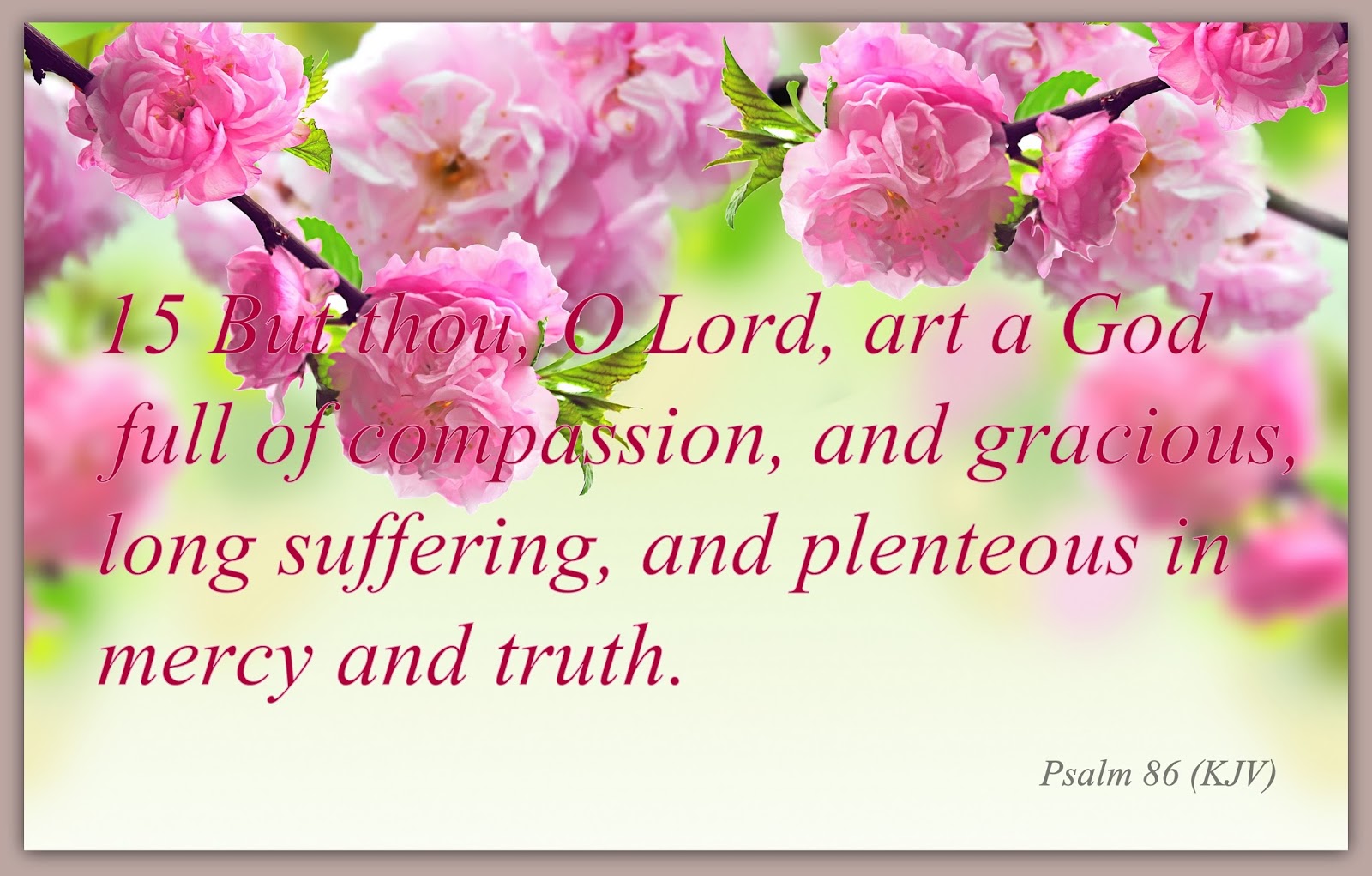Red Pill Diaries Psalm 86 KJV red-pill-diaries-psalm-86-kjv