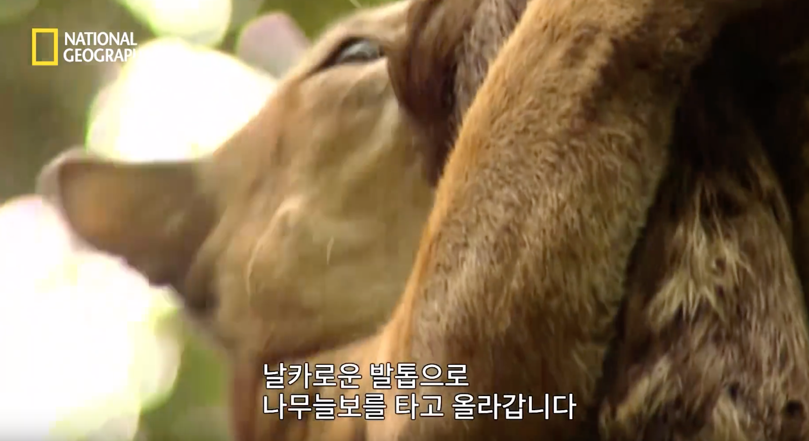 %25E1%2584%2589%25E1%2585%25B3%25E1%2584