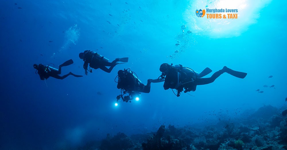 Top Dive Sites Marsa Alam Sha’ab Nakari ambiance