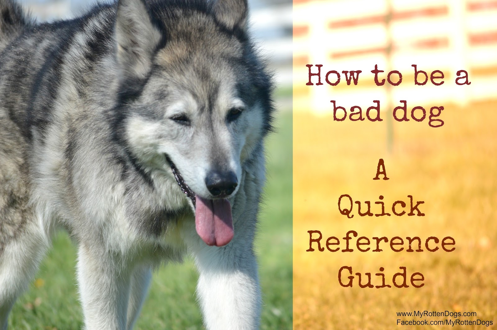 My Rotten Dogs How to Be a Bad Dog A Quick Reference Guide