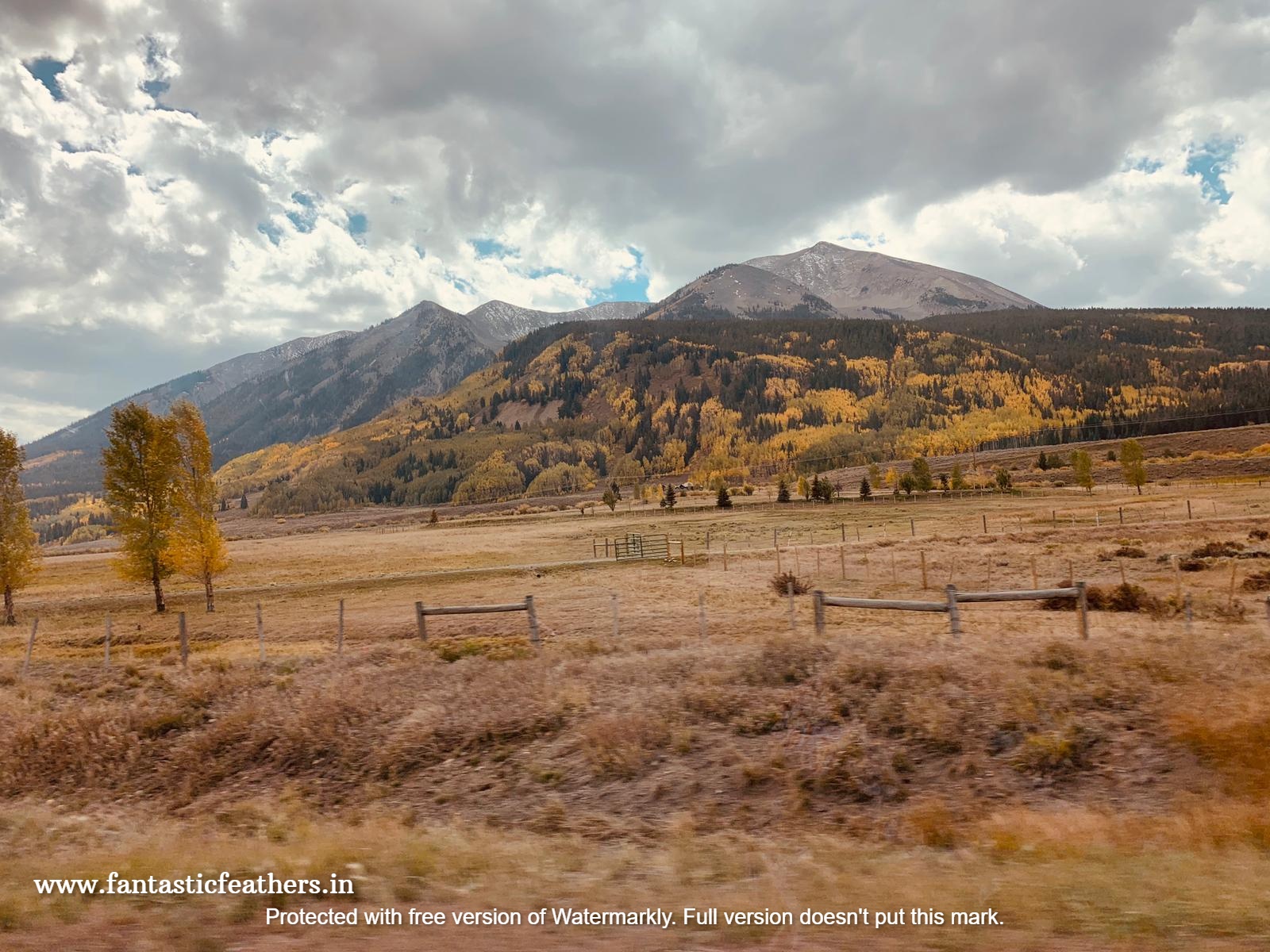 Fantastic Feathers Crested Butte and Curecanti Recreational Area
