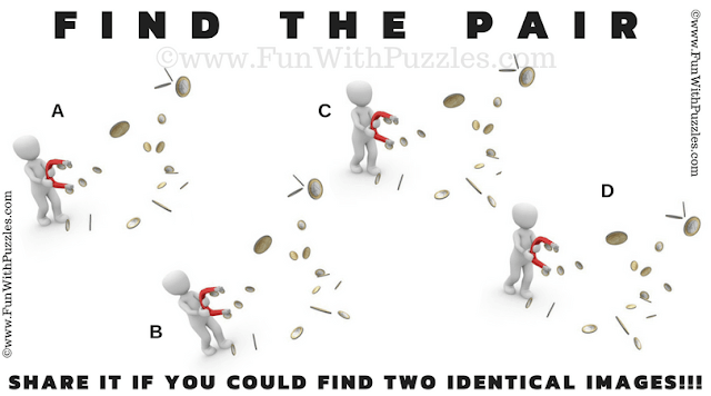 Quick Kids Find the Pair Picture Riddle