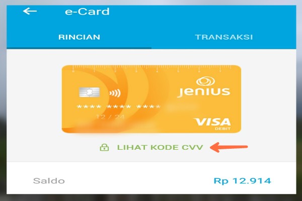 Verifikasi Paypal Dengan Kartu Jenius Gratis Dan Gampang