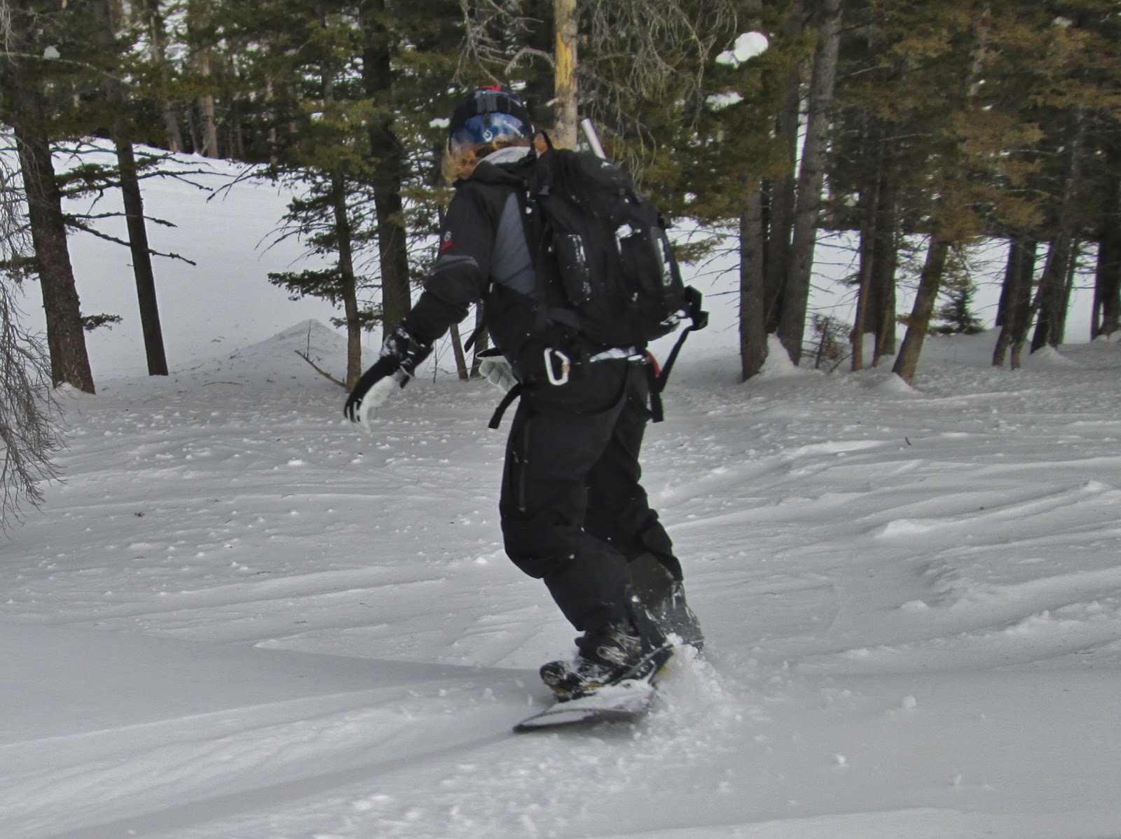 MJ HALL / MOUNTAIN BIKE / MOTORCYCLE / SNOWBOARD / SNOWMOBILE / FOUR