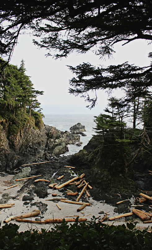 Wild Pacific Trail Ucluelet Vancouver Island
