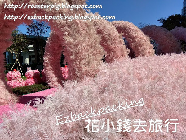 情人節打卡好去處:北角少女心粉紅芒草隧道