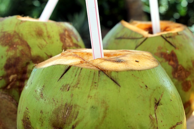 buah pembakar lemak perut