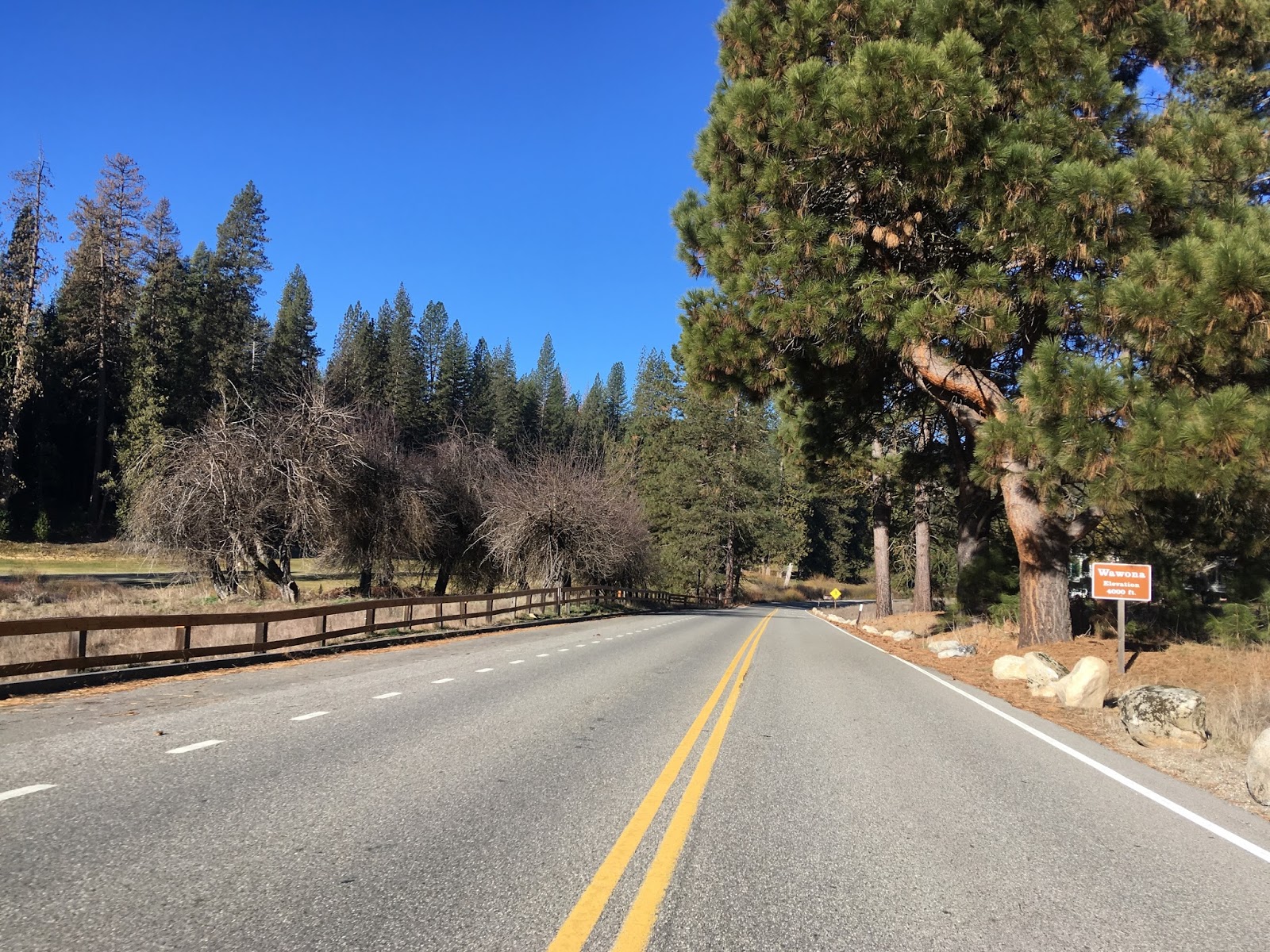 History of the Wawona Road and Mariposa Grove (Yosemite National Park)