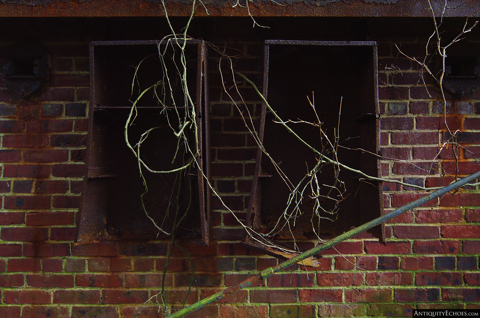 Tuckerton Fish Factory - Tree Branches and Old Lockers