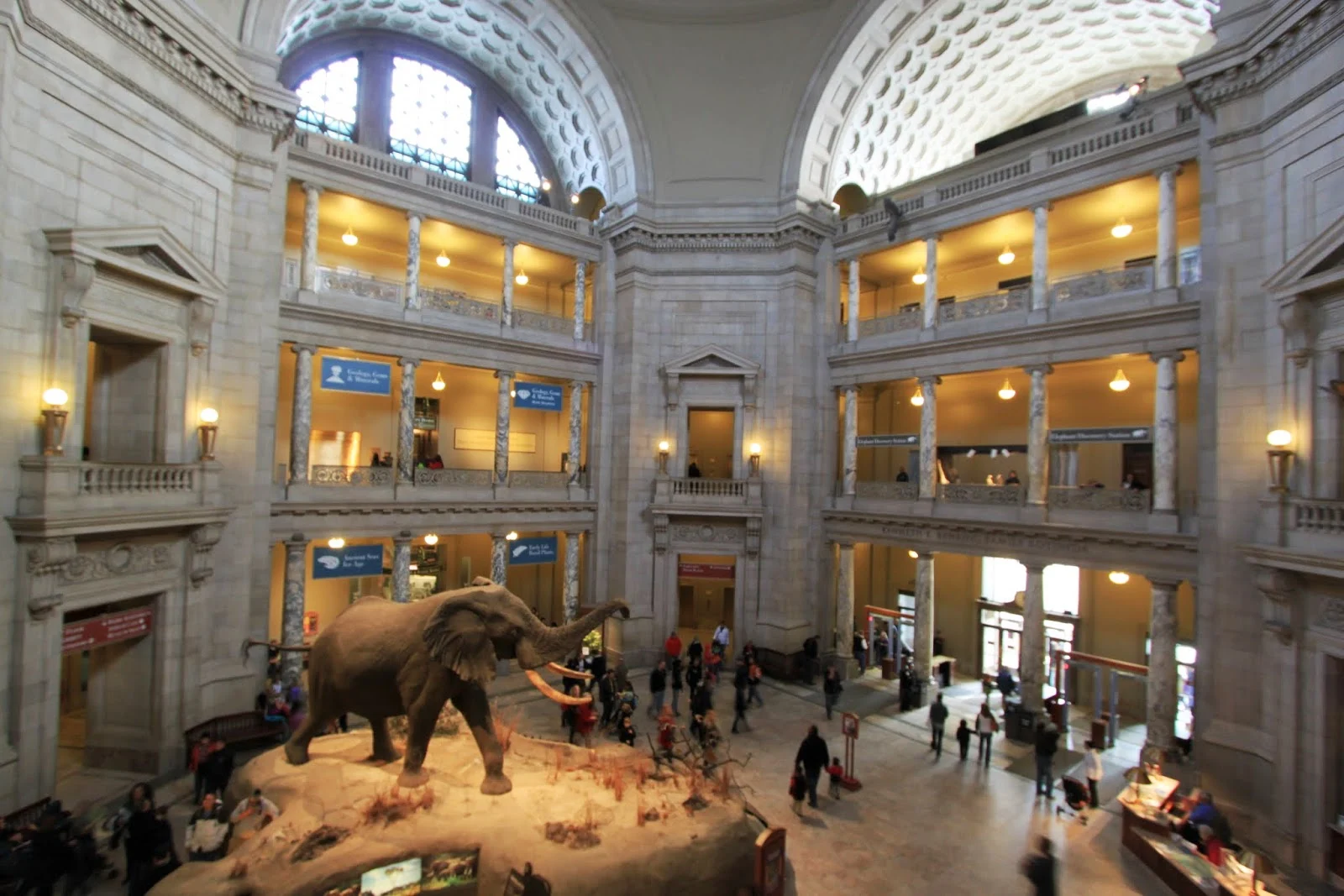 National Museum of Natural History, Washington DC | Lense ...