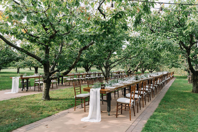 Niagara Wedding Planner | A Divine Affair - Photo by Erin Blackwood Photography. Kurtz Orchards Gracewood Estate Wedding in Niagara on the Lake. Wedding Details. Alfresco live edge harvest tables in the orchard. 