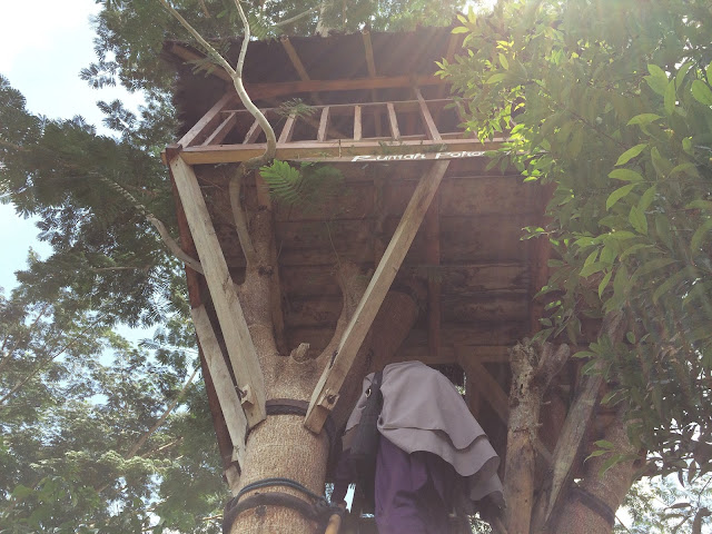 Ines Yuanta Blog >> Salah satu rumah pohon di Taman Botani Sukorambi Rumah pohon di Taman Botani Sukorambi