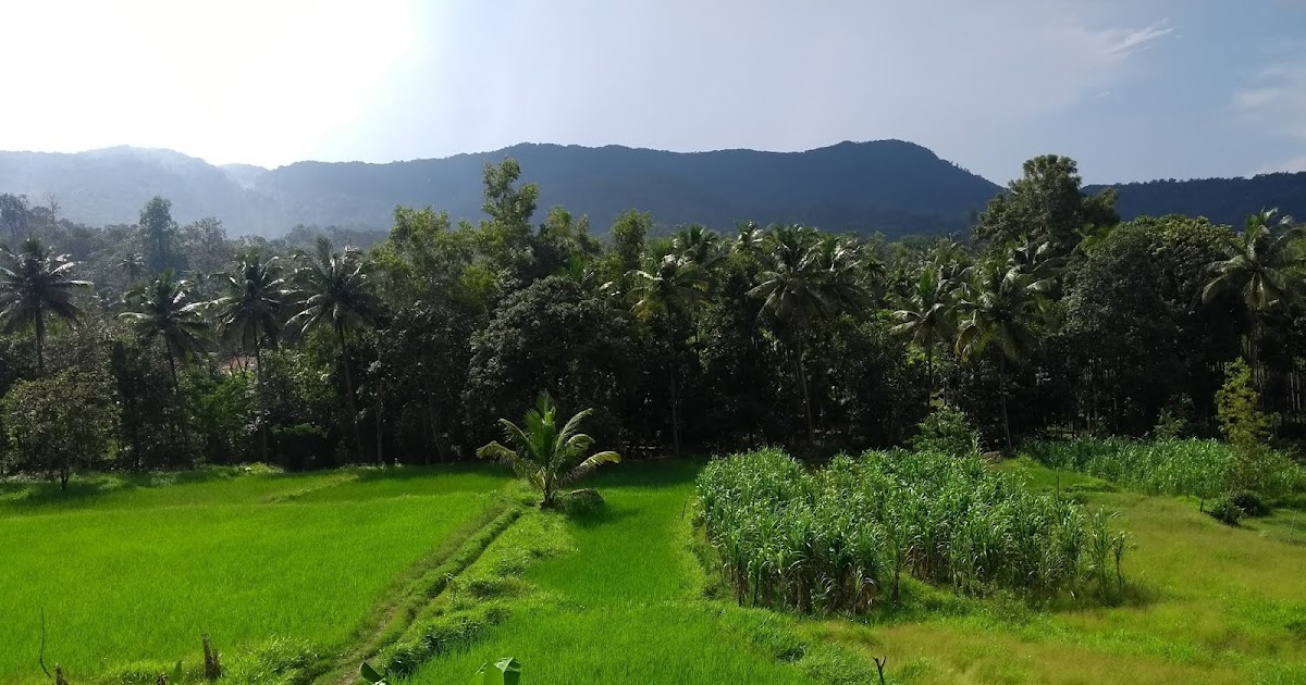 Moti Gudda Trek With Appaji -Unknown Treks Of Western Ghats