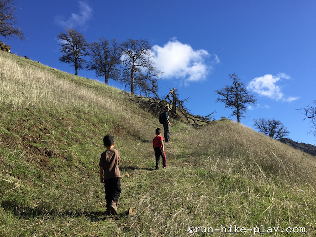 Hiking Billy's Hill to Cortina Ridge