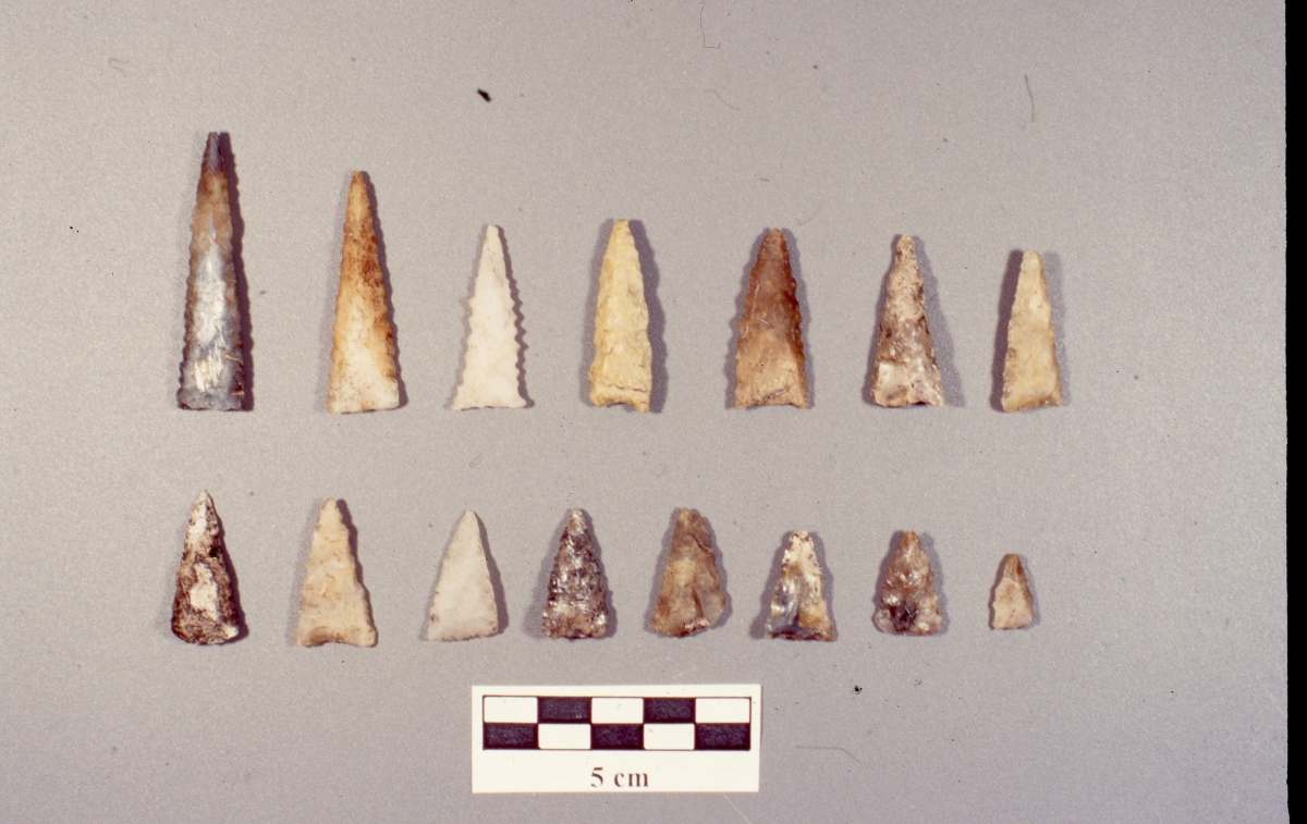 The Jungle Country Club History Project The Tocobaga People Lived Responsibly and Cared for the