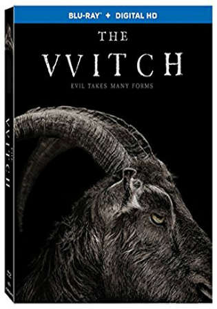 The Witch 2015 300MB ORG Hindi Dual Audio 480p BRRip