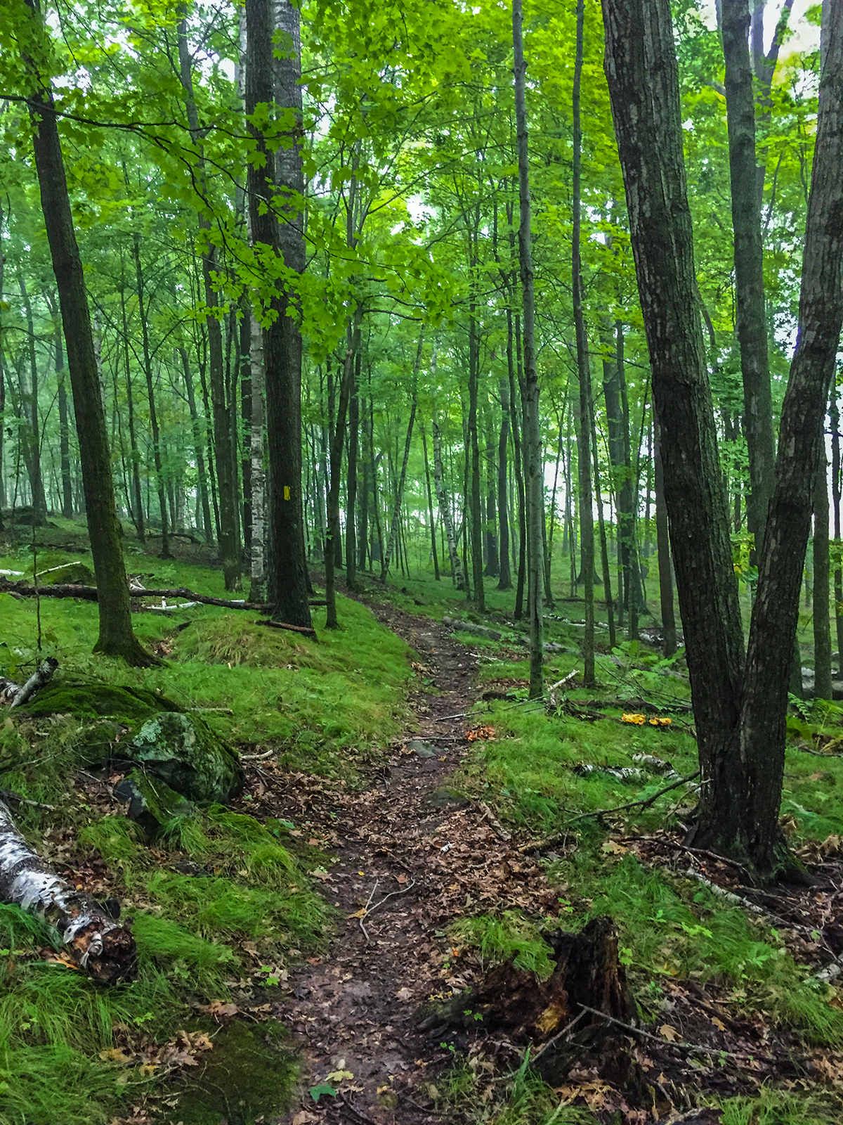 Ice Age Trail Trade River Segment