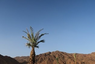 Kondisi Masyarakat Madinah Sebelum Islam Dadanby