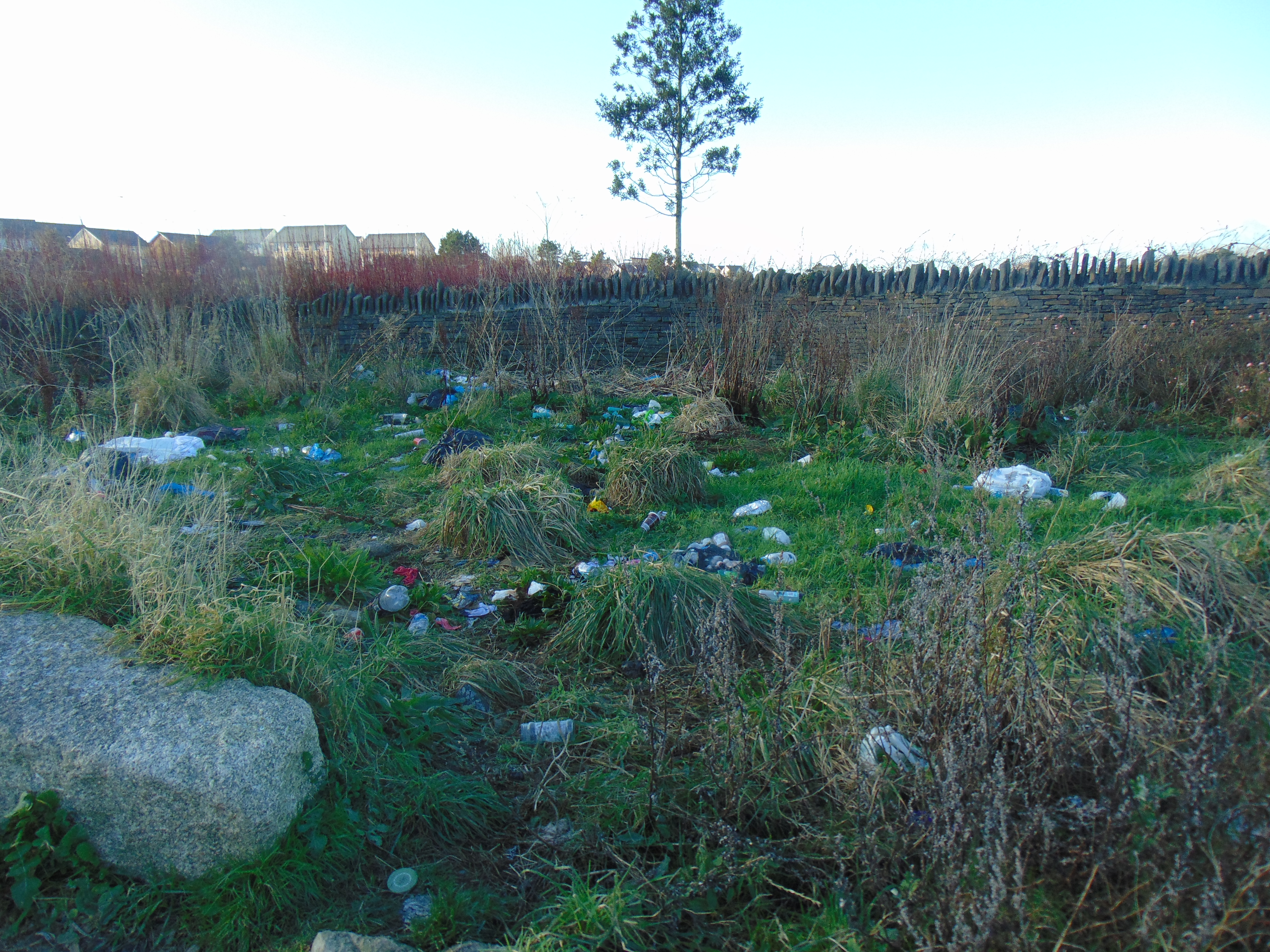 People First The Wellness Project the Breezy Village but new flood warnings may drown