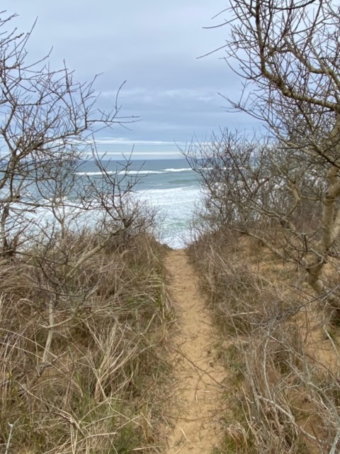 Architext: Walk on the Wild Side - Cape Cod