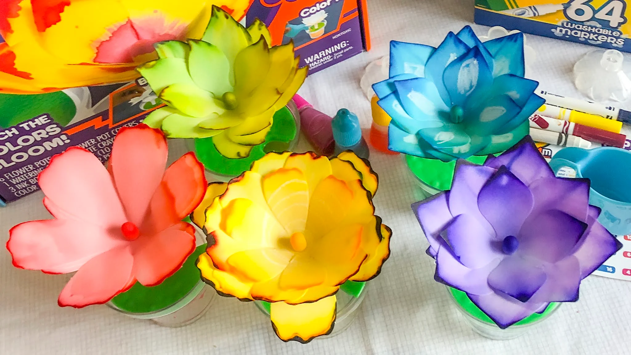 Vivid Crayola Paper Flower Photo Nature
