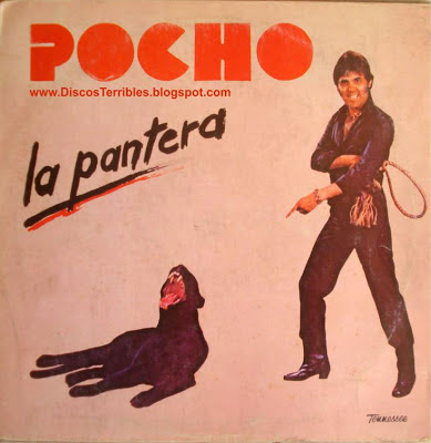 pocho la pantera