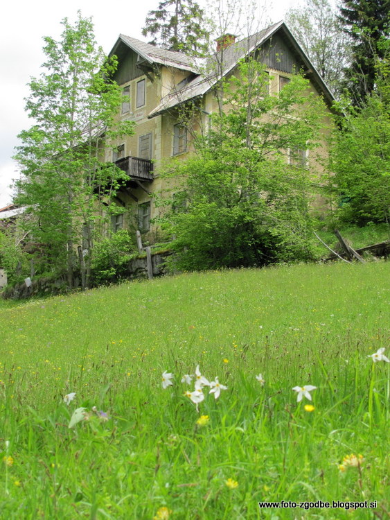 Planina pod Golico, vila Rožca Slovenija, Gorenjska