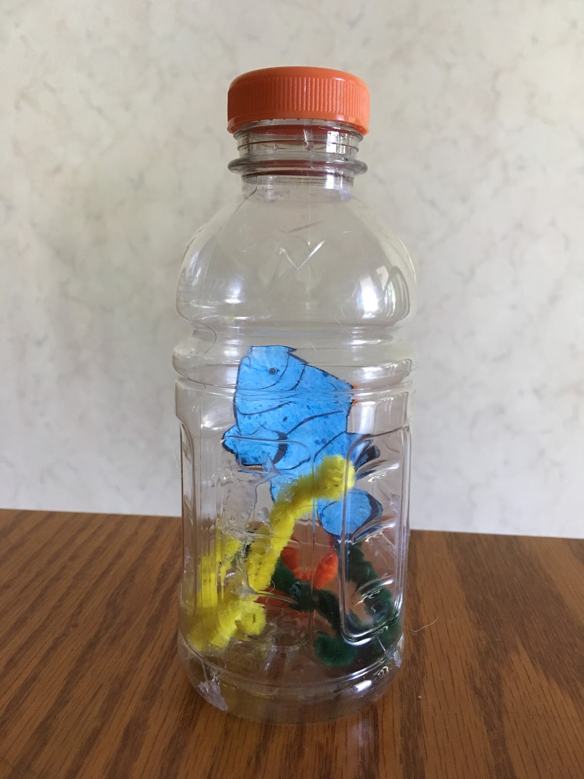 What I Live For Water Bottle Aquarium