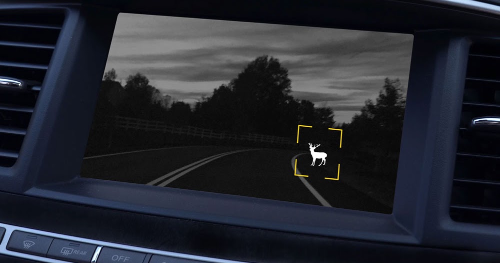 Night vision displaysa complete solution for Night Vision and Security