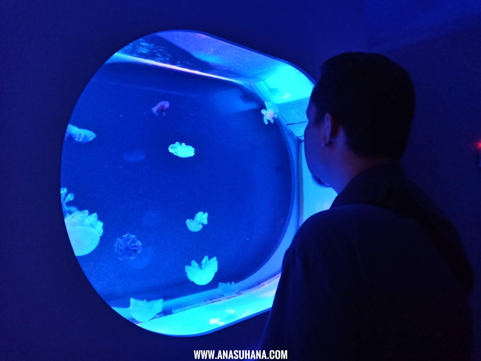 The Shore Oceanarium Melaka The Shore Oceanarium Melaka