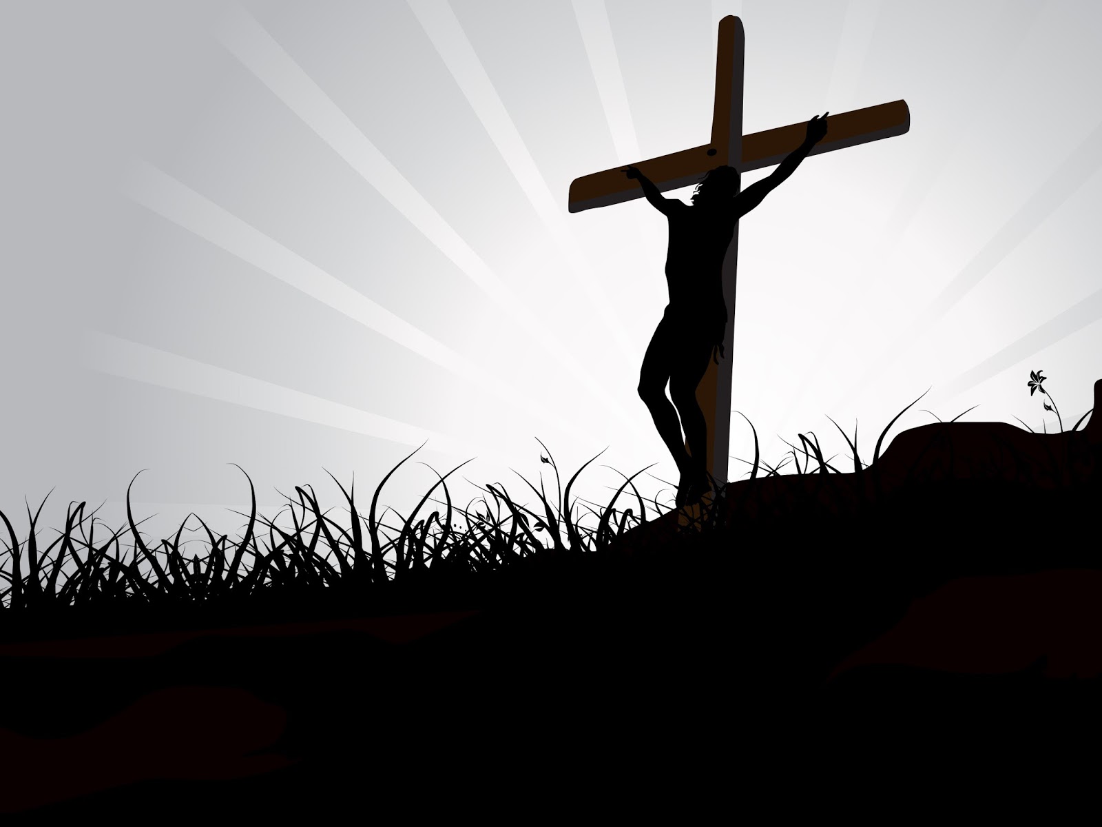 Woman of Faith: Human Faithfulness vs. Divine Resolve