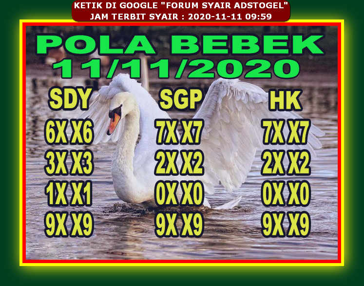 Syair Sdy 11 November 2020 Rajiman