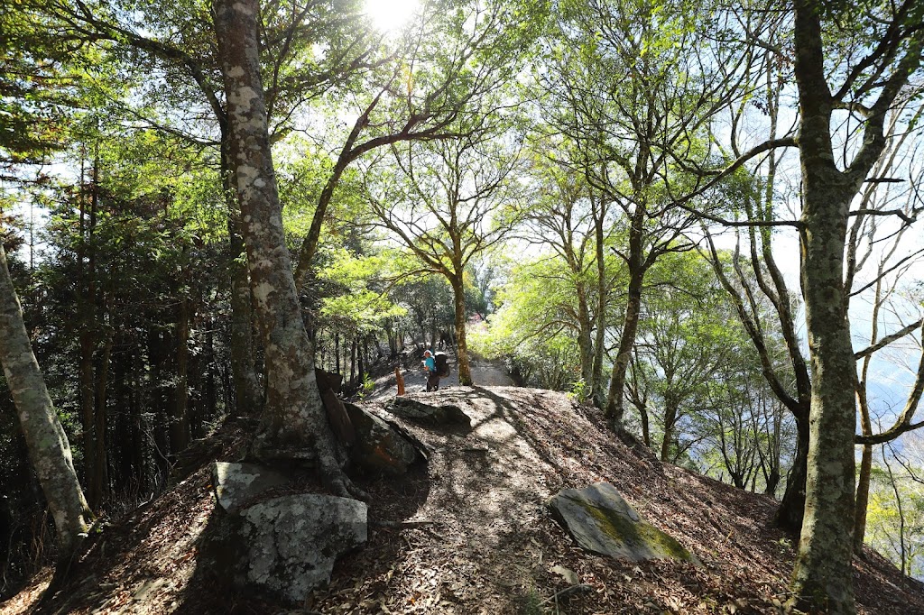 拉夫朗山西北峰附近緩稜