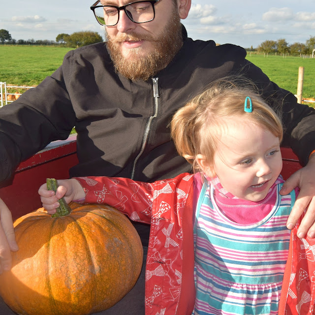 Wafflemama. Pumpkin Patch Rand Farm Lincolnshire