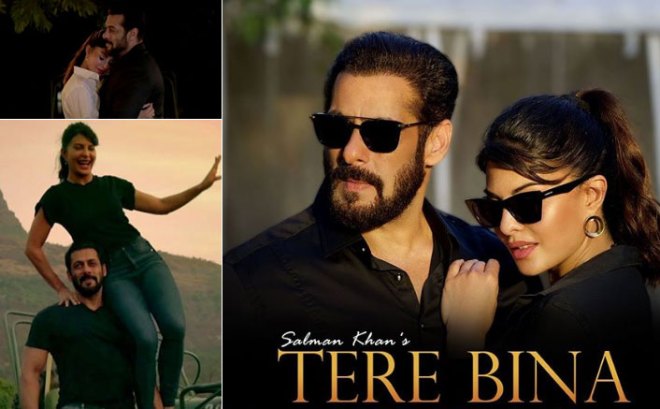 Tere Bina Salman Khan Whatsapp Status Video Download