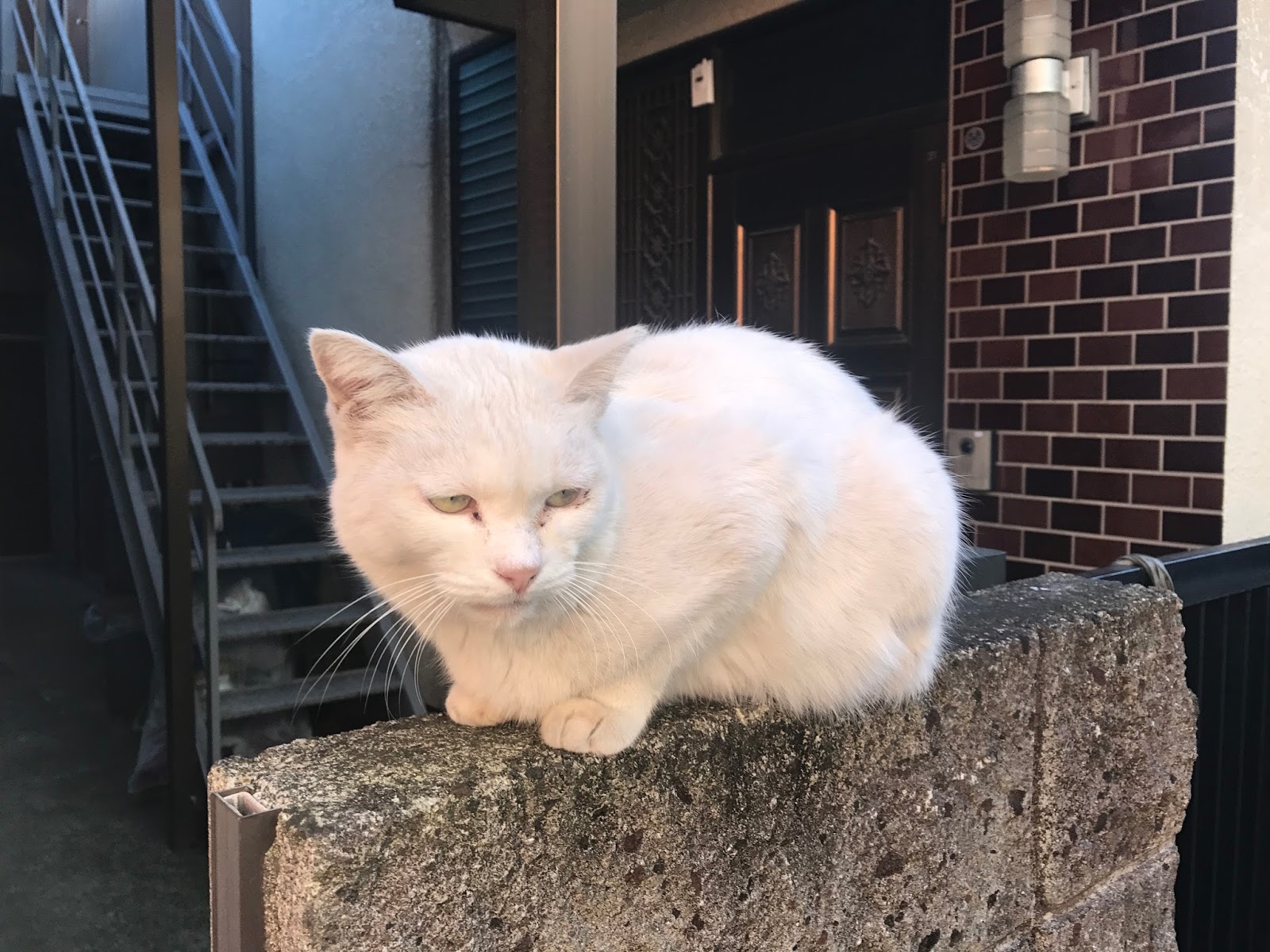 一日一言 名言 大道行くべし 又何ぞ妨げん 木戸 孝允