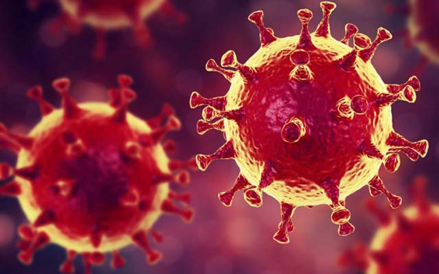 Campo Formoso tem o primeiro caso confirmado de Covid-19