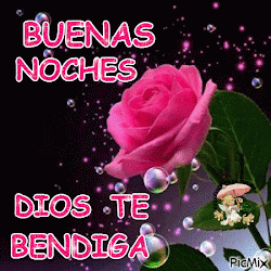 buenas noches rosas dios bendiga feliz bellas noche amor mi mis flores buenos dias te todo frases picmix vida bellos