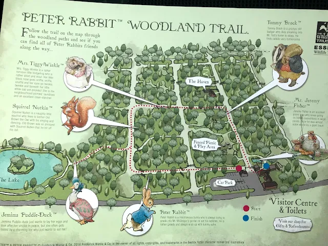 A copy of the Peter Rabbit Woodland Trail Map While The Visitors Centre is closed