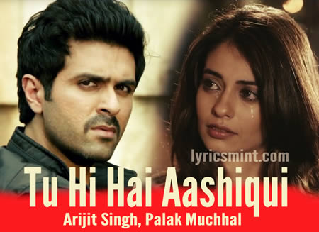 Tu Hi Hai Aashiqui - Harman Baweja & Ayesha Khanna