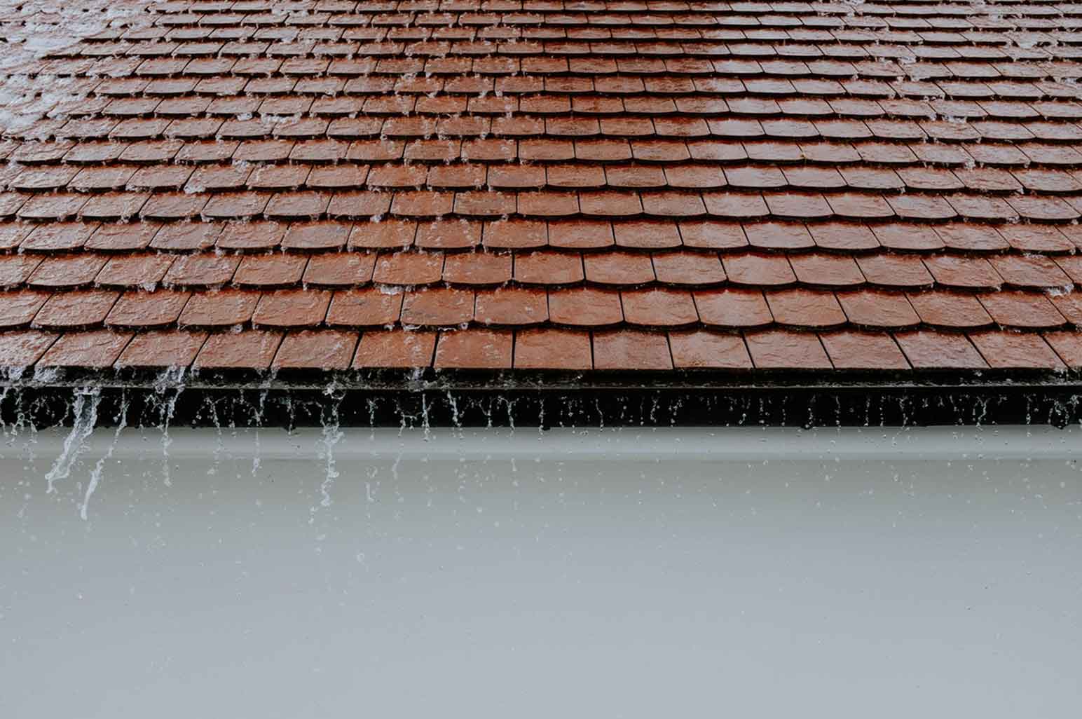 Signs You Need Roof Repair