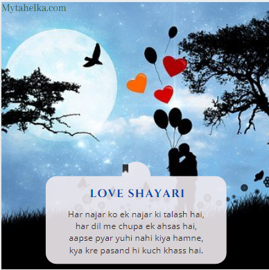 Love image Shayari 12