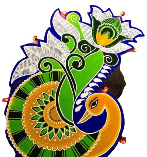 beautiful latest rangoli design of peacock new rangoli designs of peacock