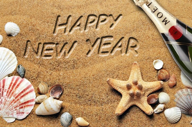 New Year 4727683 480