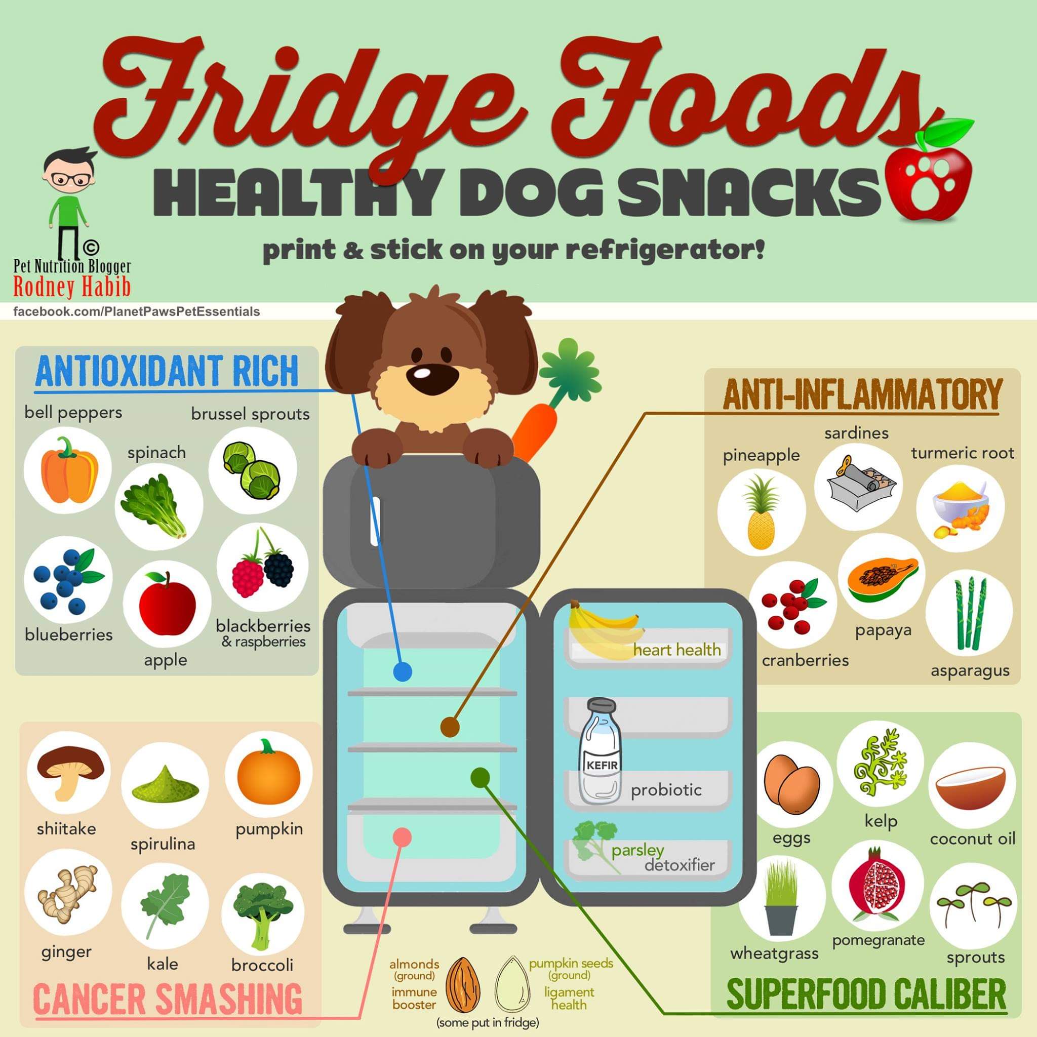 Road's End Papillons Healthy Fridge Foods For Dogs