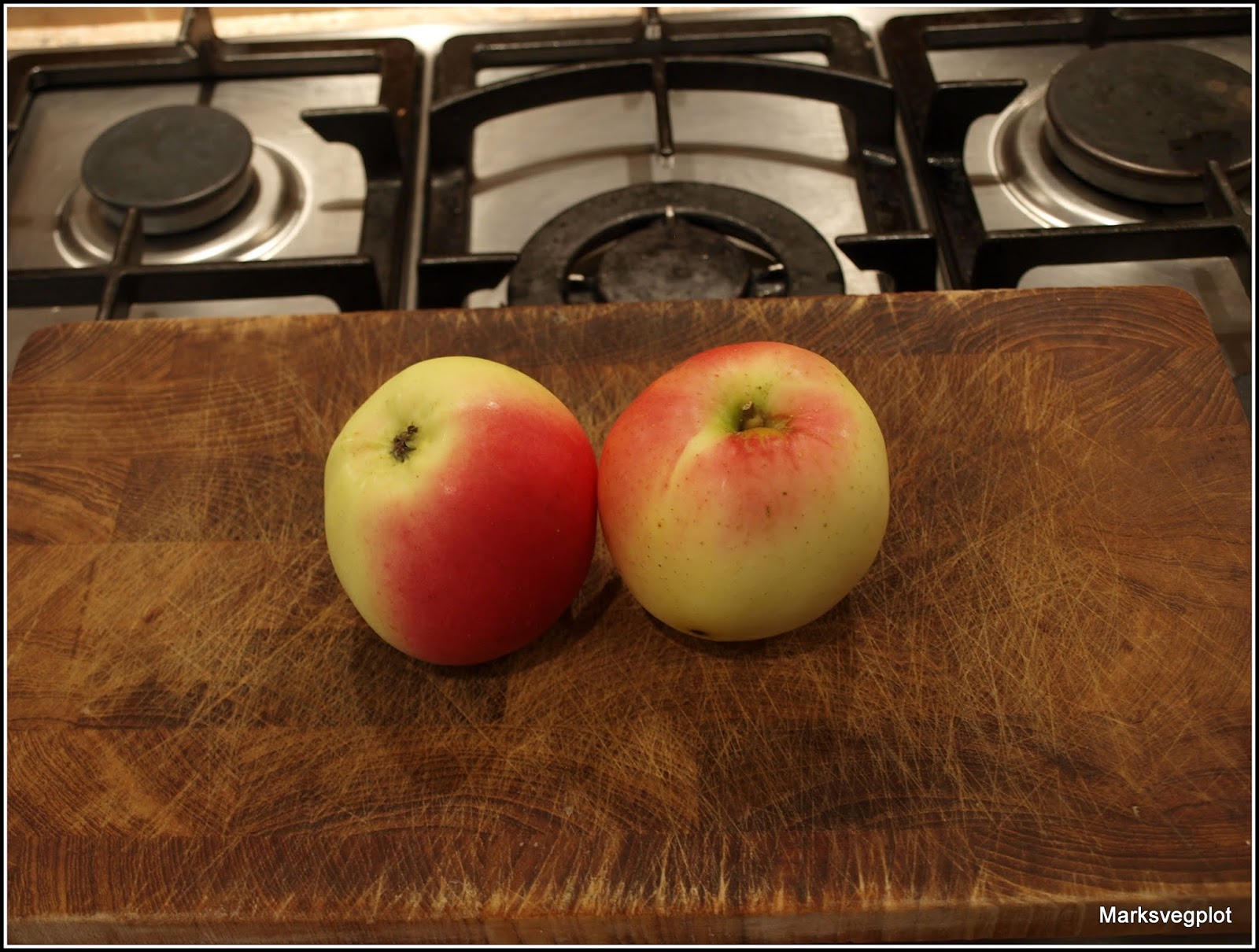 Mark's Veg Plot Harvesting my apples