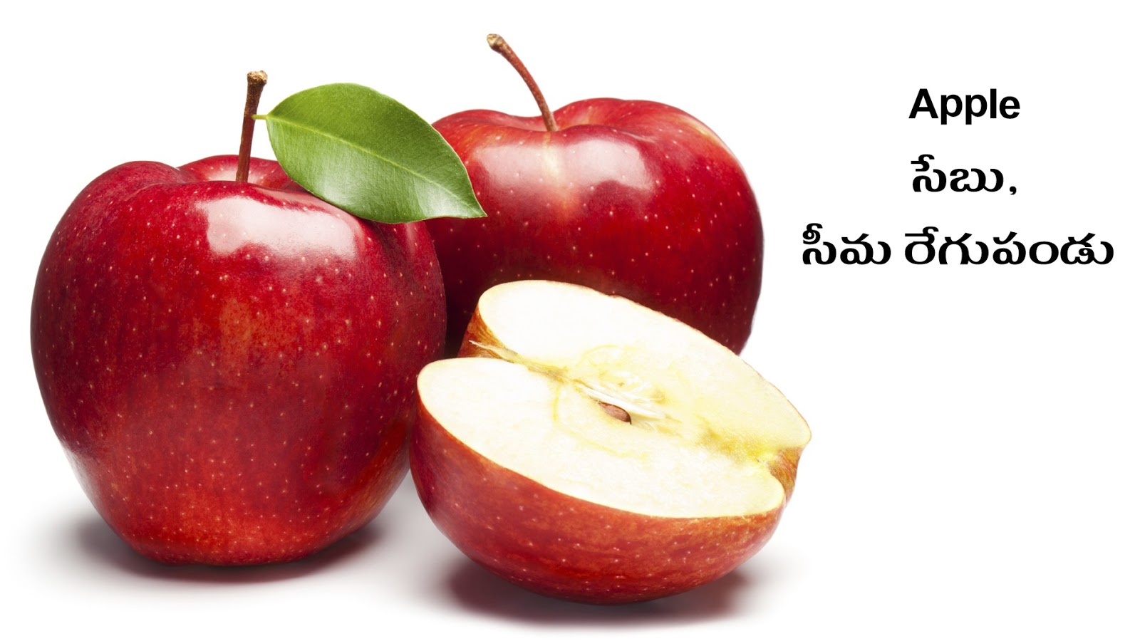 FRUITS PHALAMULU Picture Dictionary English Telugu
