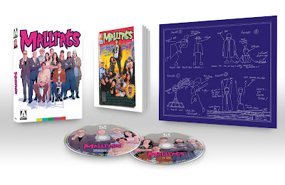Mallrats 1995 Arrow Limited Edition Bluray Box Set Overview