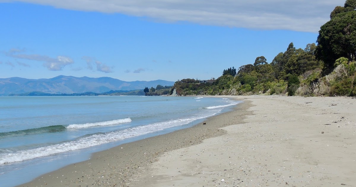 THE ROAD TAKEN Golden Bay