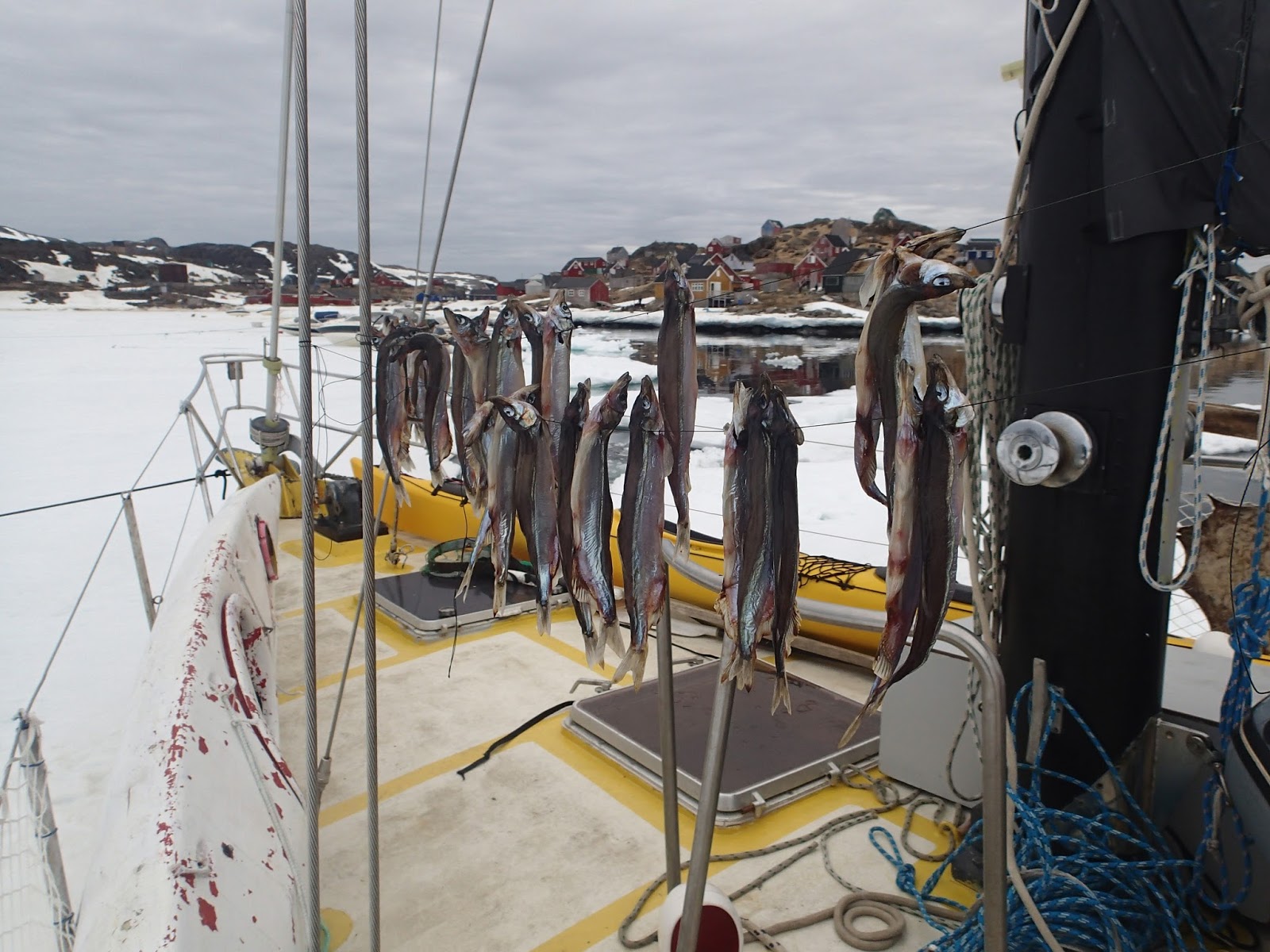 [Imagen: P5201821.JPG]